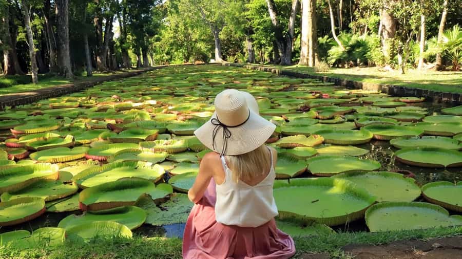 North Tour: Port Louis, Caudan, Citadelle, Botanical Garden - Key points to know before you book