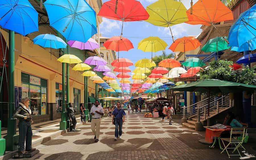 North Tour: Port Louis, Caudan, Citadelle, Botanical Garden - Port Louis Local Market and the everyday city