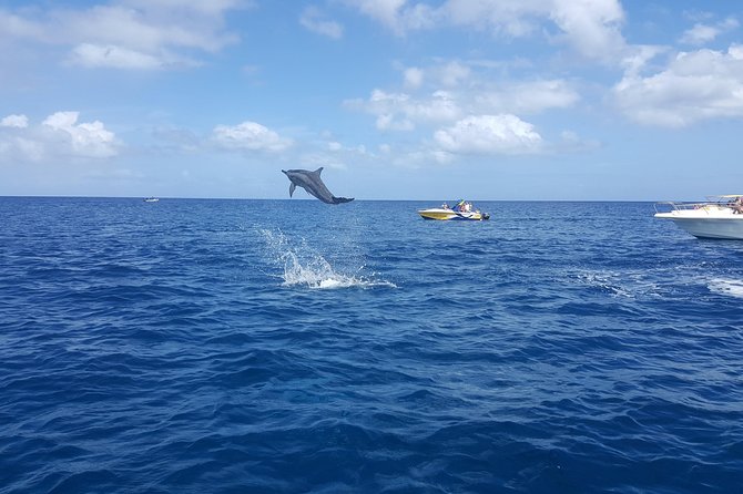 Ocean Swim with Dolphins - Crystal Rock with Le Morne behind you