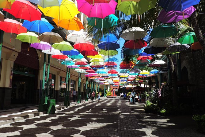 Port Louis and Pamplemousses Garden - A full day trip - Fort Adelaide for the best city view