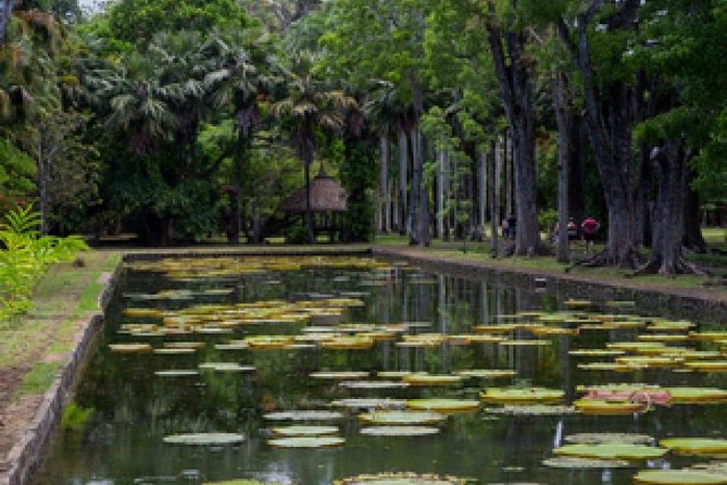 Port Louis and Pamplemousses Garden - A full day trip - Caudan Waterfront and Victoria Urban Terminal