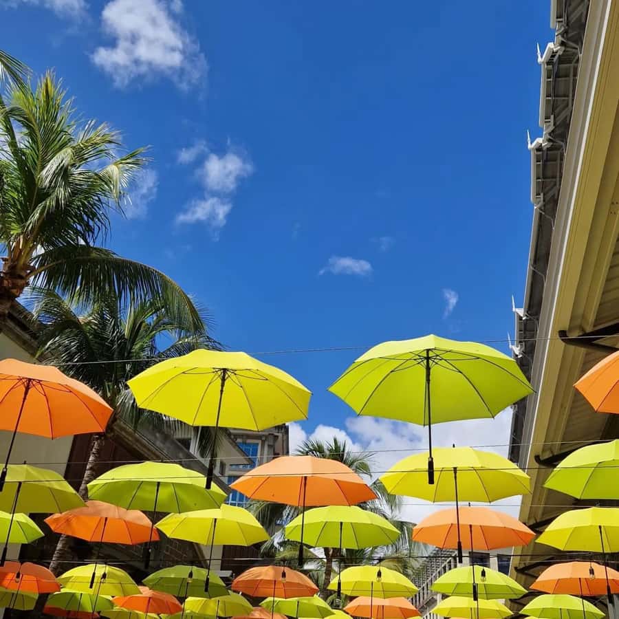 Port Louis: City Tour with Street Food Tasting - Fort Adelaide and the Old City