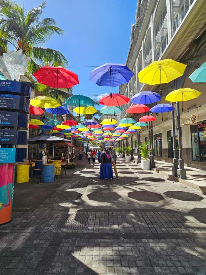Port Louis: Mont Choisy, Botanical Garden, and Church Tour - Mont Choisy or Trou aux Biches for the water