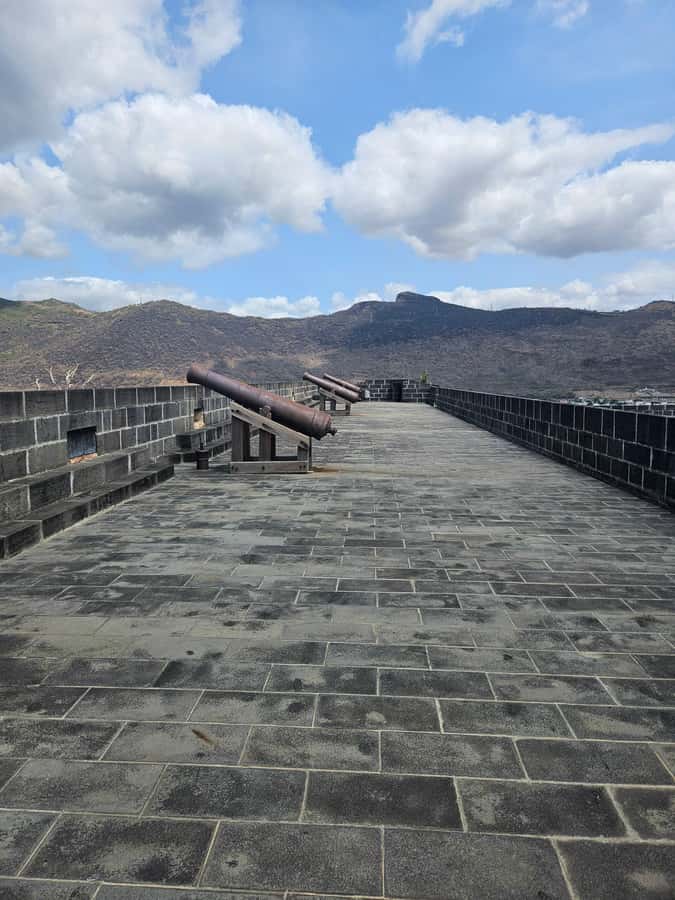Port Louis: Mont Choisy, Botanical Garden, and Church Tour - What the private car and guide add