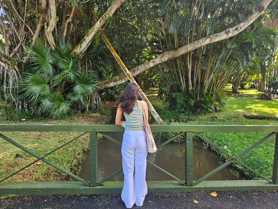 Port Louis: Mont Choisy, Botanical Garden, and Church Tour - Who should book this tour