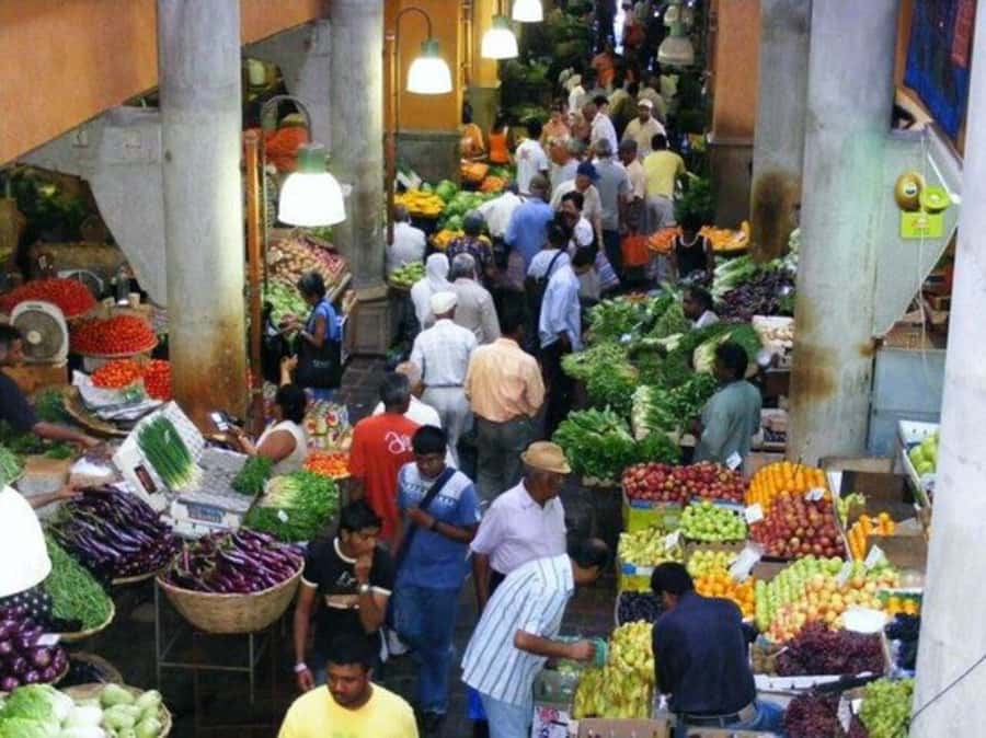 Port Louis: Private Guided Sightseeing Tour - Should you book this tour?