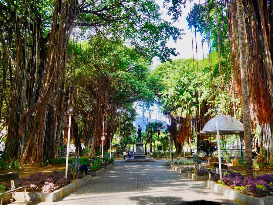Port Louis: Street Eats and City Highlights Walking Tour - Key points at a glance