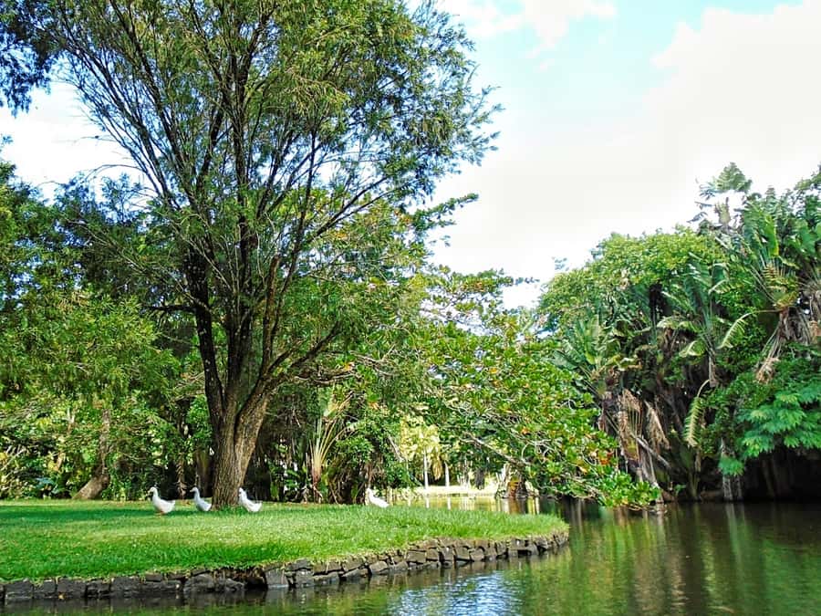 Private All Inclusive North Tour with Lunch & Entrance Fees - A full day built around Mauritius’s northern highlights
