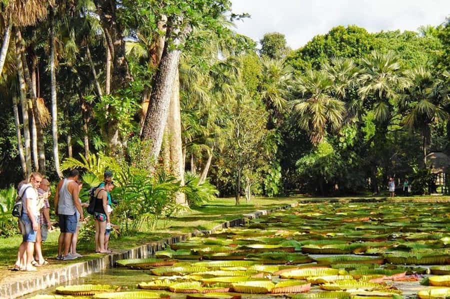 Private All Inclusive North Tour with Lunch & Entrance Fees - What the included Mauritian lunch adds