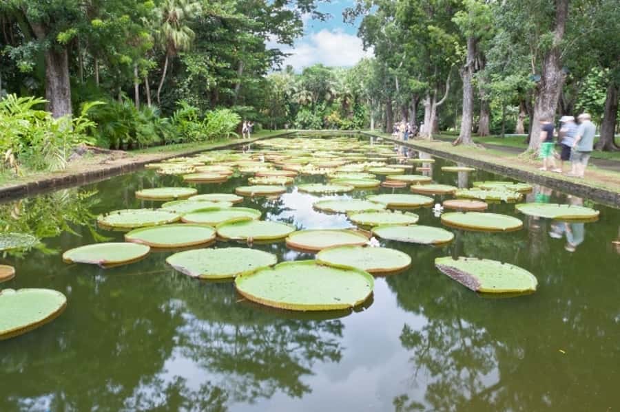 Private All Inclusive North Tour with Lunch & Entrance Fees - L’Aventure du Sucre and the story behind the island
