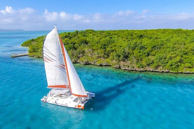 Private Charter Full Day Cruise: Île aux Cerfs - Snorkeling and time on the water