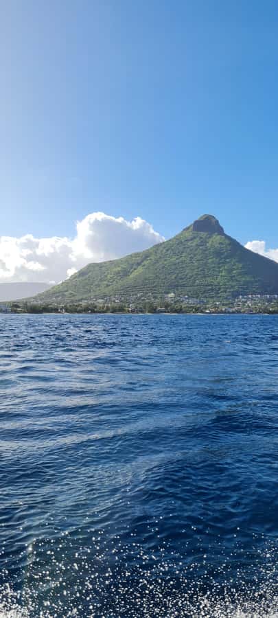 Private Dolphin Snorkeling Tour. Equipment available Free. - Guides who make a difference