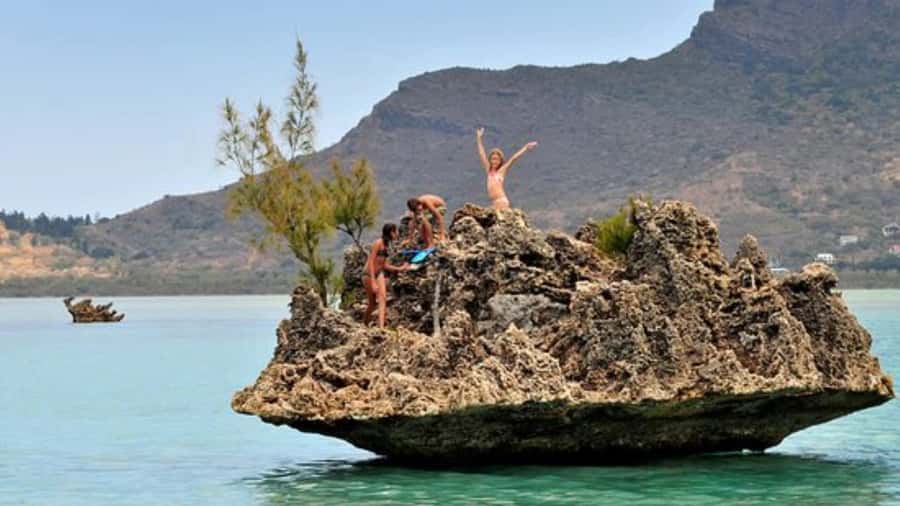 Private Dolphin Swim/Snorkeling & Lunch on Benitiers island - Lunch prepared on Île aux Bénitiers