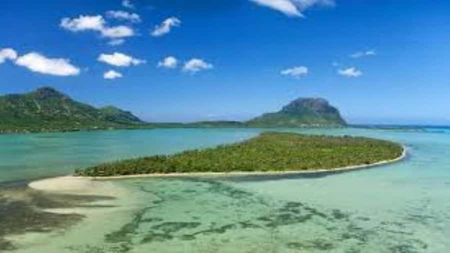 Private Dolphin Swim/Snorkeling & Lunch on Benitiers island - Weather, sea conditions, and comfort