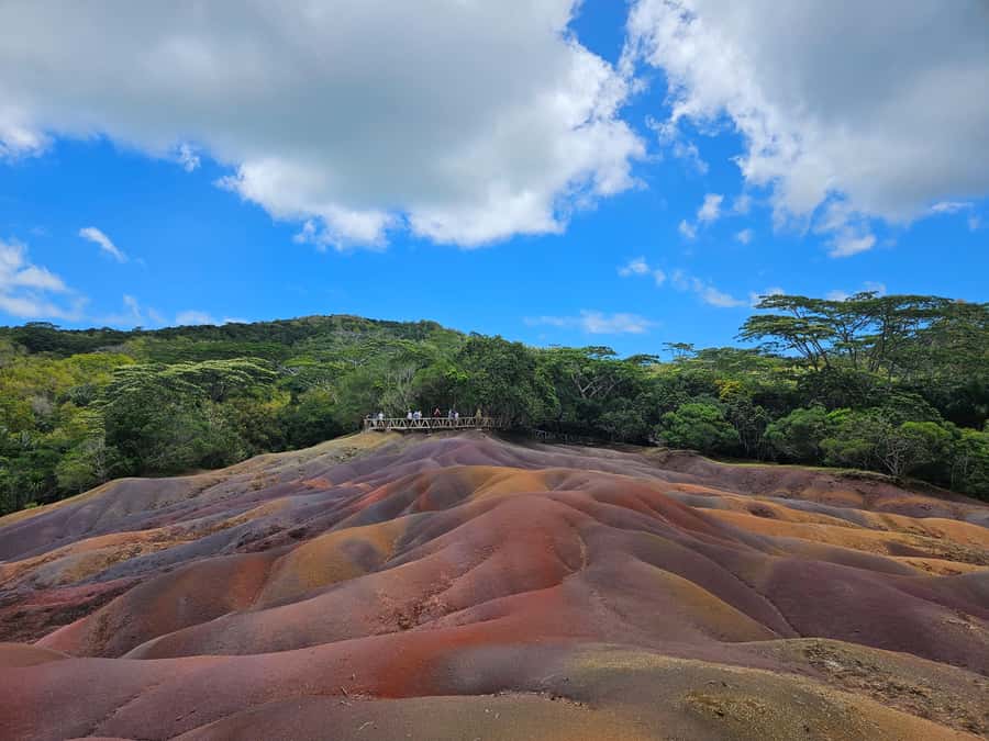 PRIVATE FULL-DAY NORTH AND SOUTH TOUR - Pamplemousses Botanical Garden and its 500 plant species