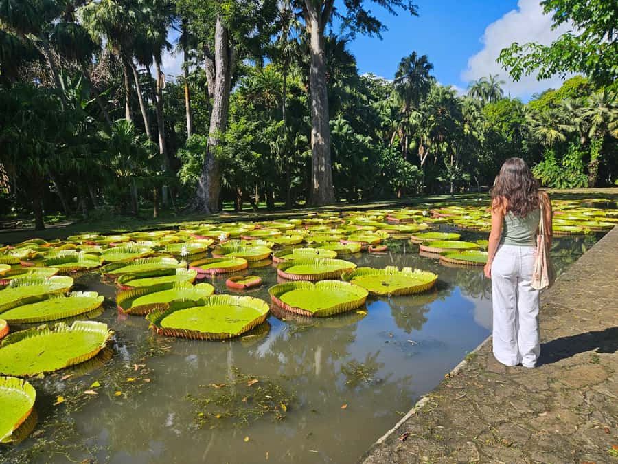 PRIVATE FULL-DAY NORTH AND SOUTH TOUR - What the private guides add to the day