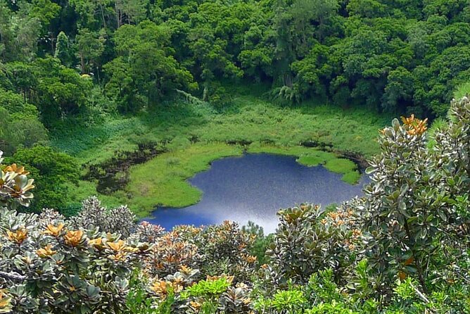 Private Full Day Tour in Mauritius - Trou aux Cerfs: a quick look into a volcanic crater