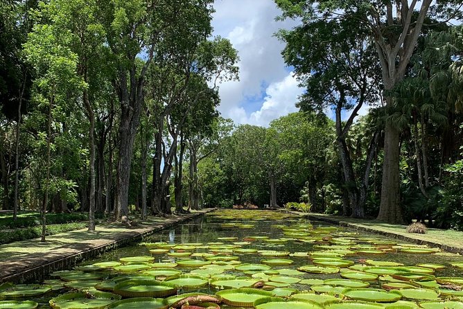 Private Guided Tour of Northern Mauritius with Shopping in Port Louis - Port Louis gives the day its local edge