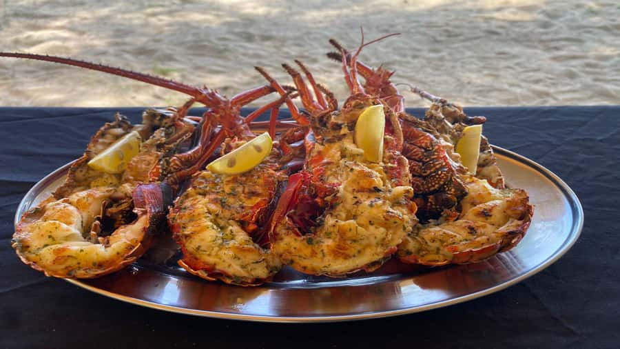 Private Île aux Bénitiers Boat: Dolphin Snorkeling & Lobster - Starting at Le Morne for a private day at sea