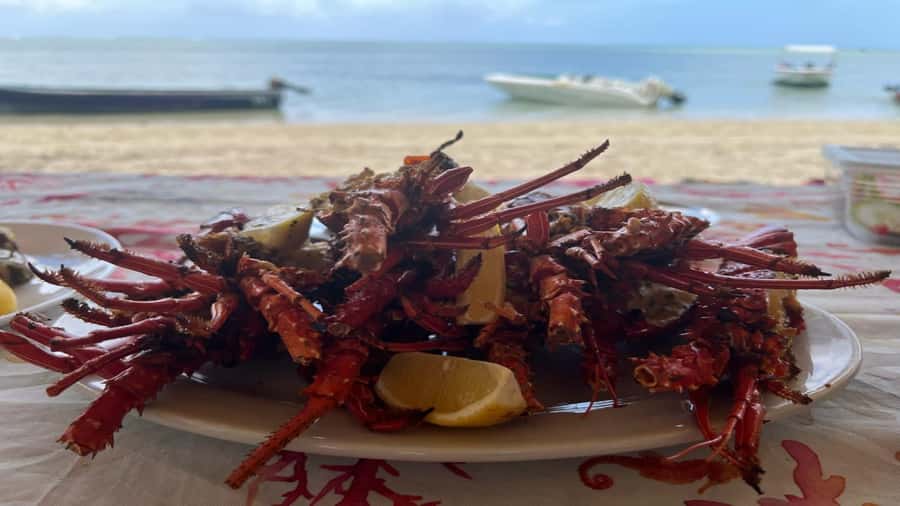 Private Île aux Bénitiers Boat: Dolphin Snorkeling & Lobster - The open bar and what it changes