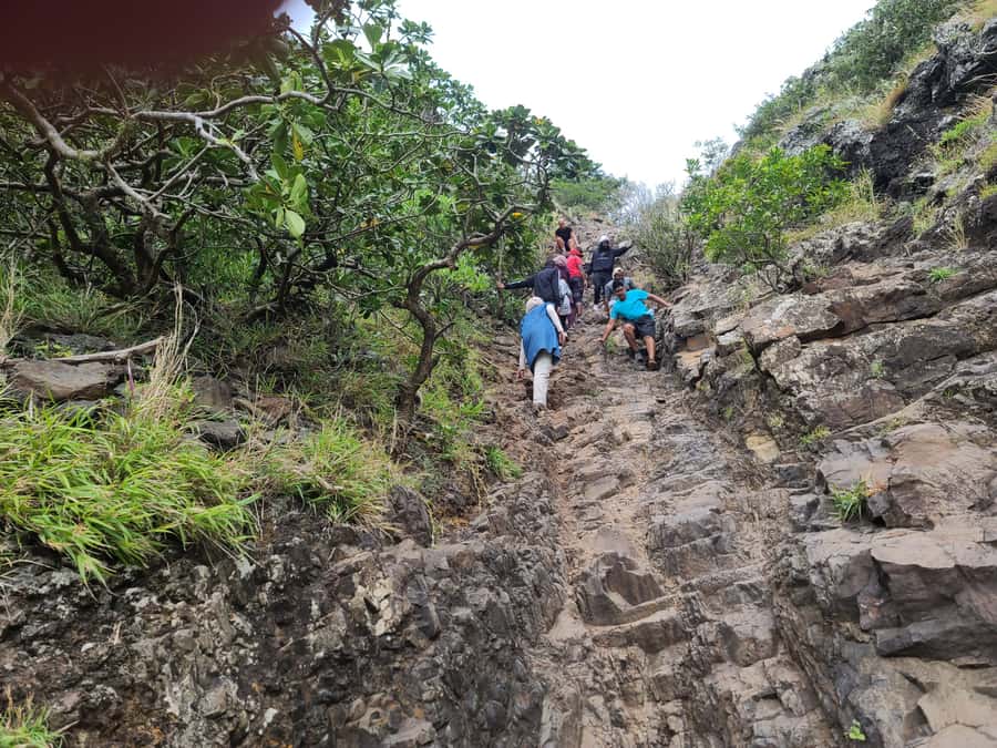 PRIVATE LeMorne Mountain Picturesque Hike-UNESCO Recognised - Languages, meeting details, and flexible booking
