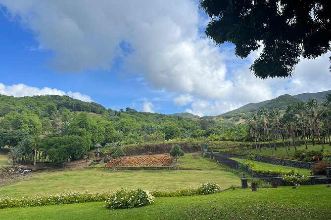Private Mountain Biking Experience in the Wild South of Mauritius - Riding the 20 kilometers of marked trails