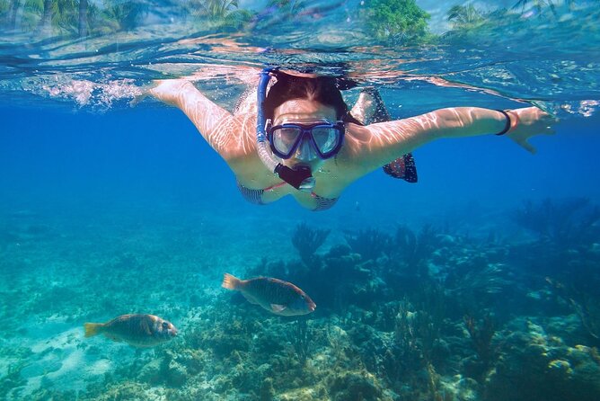 Private speed boat to Ile aux Cerfs full-day Incl: Lunch & Transfer - Barbecue lunch, open bar, and sega entertainment