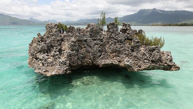 Private Speed Boat Tour and Dolphin Encounter at Ile aux Benitier - Key points at a glance
