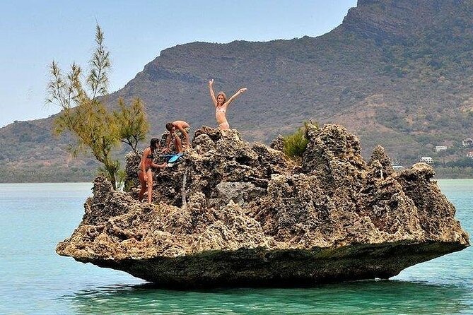 Private Speed Boat Tour and Dolphin Encounter at Ile aux Benitier - Who will enjoy this day most?