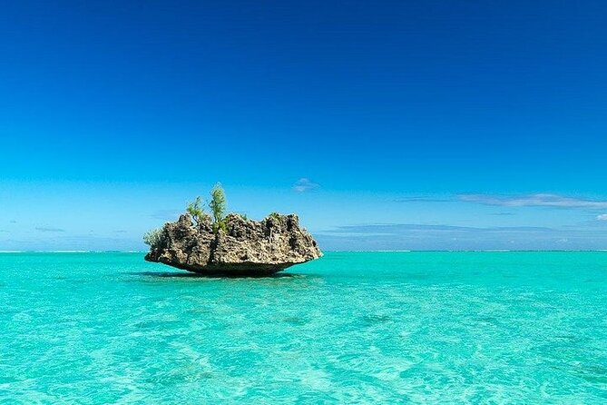 Private Speed Boat Tour and Dolphin Encounter at Ile aux Benitier - Weather, cancellation, and practical preparation