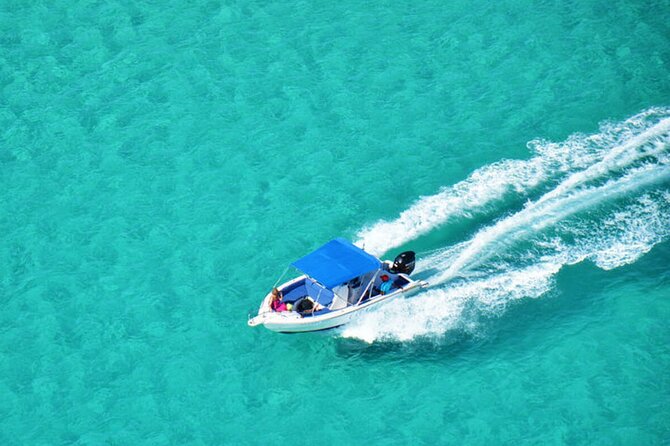 Private Speed Boat Tour and Dolphin Encounter at Ile aux Benitier - Four hours on Ile aux Benitiers