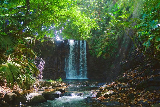Randonnée - Le Sud Sauvage - What the guide adds to the walk
