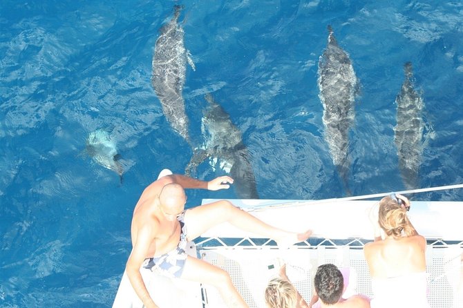 Sailing Catamaran Cruises - Leaving Black River Bay at 9:00 a.m.
