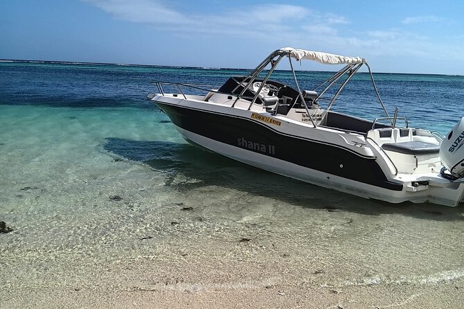 Shared 10 Pax Boat Tour: Dolphin Watching, Snorkelling and BBQ - A Mauritian BBQ with a generous menu