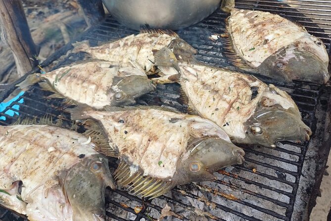 Shared 10 Pax Boat Tour: Dolphin Watching, Snorkelling and BBQ - Group size, timing, and practical details