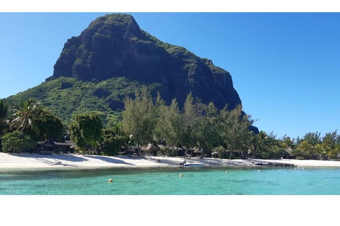 Signature Experience: Dolphins and Flavors of the Sea - Whale watching during Mauritius’s southern winter