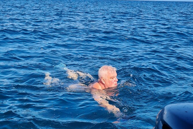 Snorkel with Dolphins, Lunch on Benitiers island, Speedboat - Three hours on Ile aux Benitiers