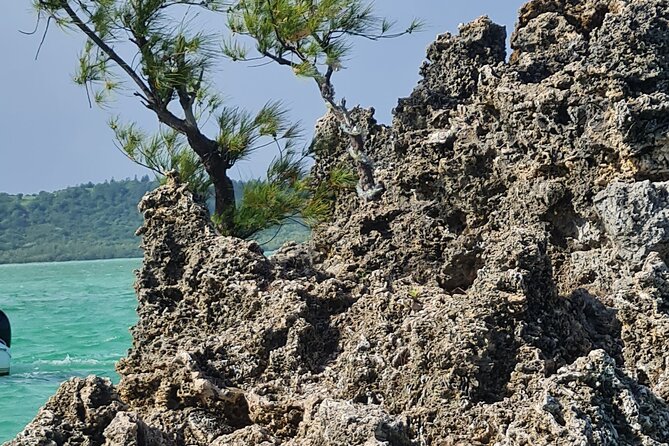 Snorkel with Dolphins, Lunch on Benitiers island, Speedboat - What the $64.79 price includes