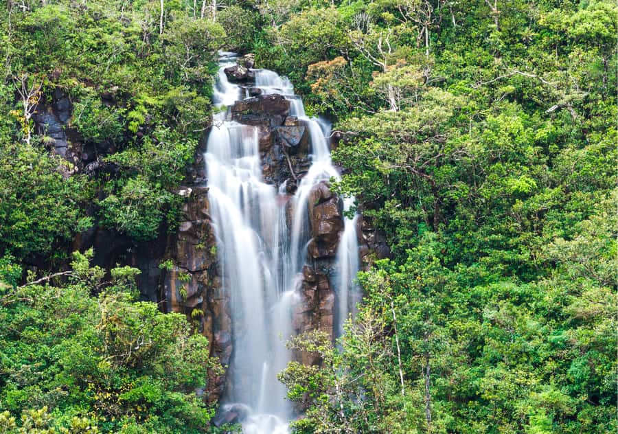 South: Gorges, Waterfalls, Lakes, Trails, 23 Coloured Earth - Black River Gorges gives you the big view