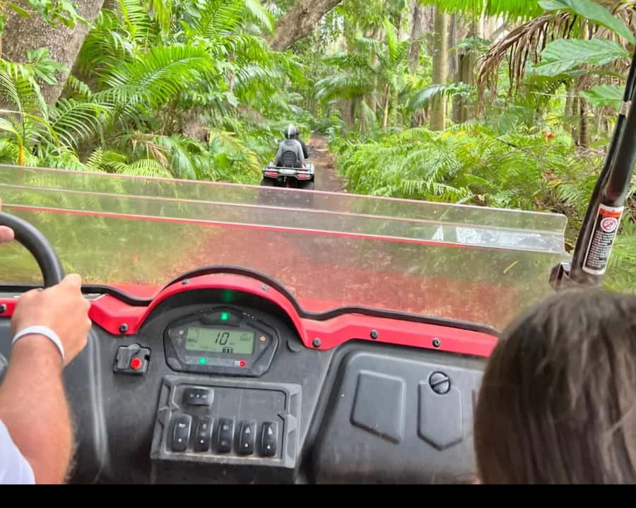 South Mauritius : Buggy Tour - Guides, driving style, and what you will learn