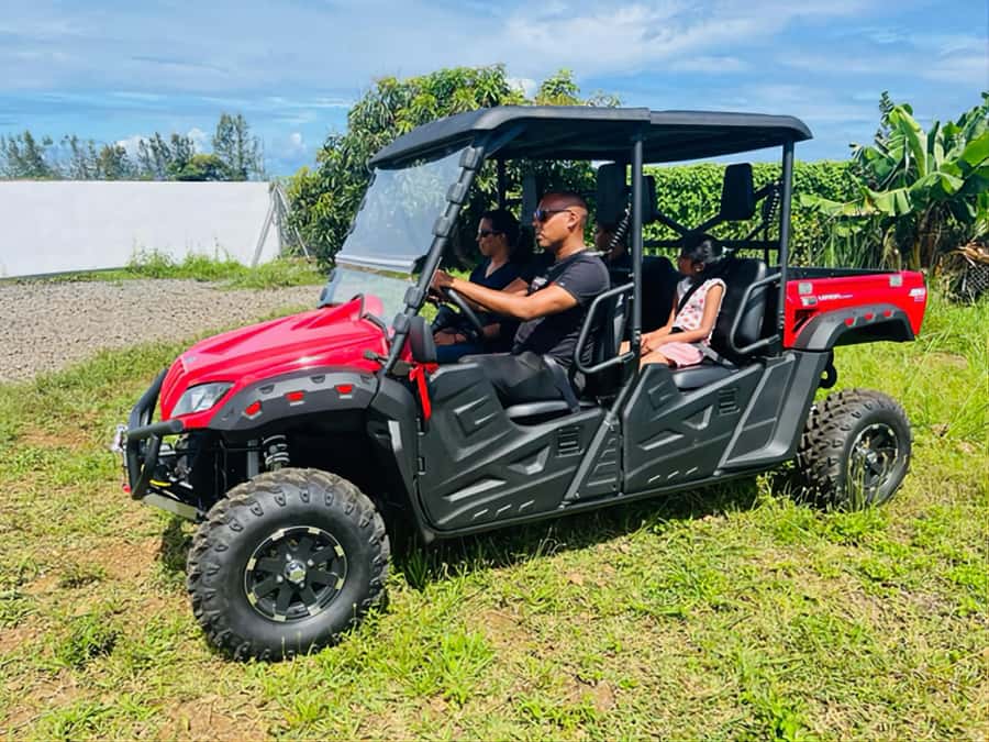 South Mauritius : Buggy Tour - Who should book this ride