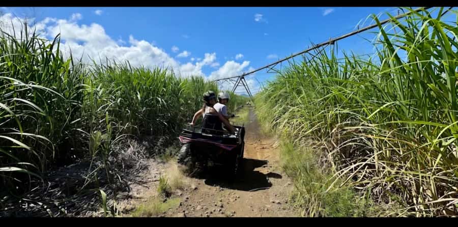 South of Mauritius: Quad Bike Tour - Le Pont Naturel and the volcanic coast