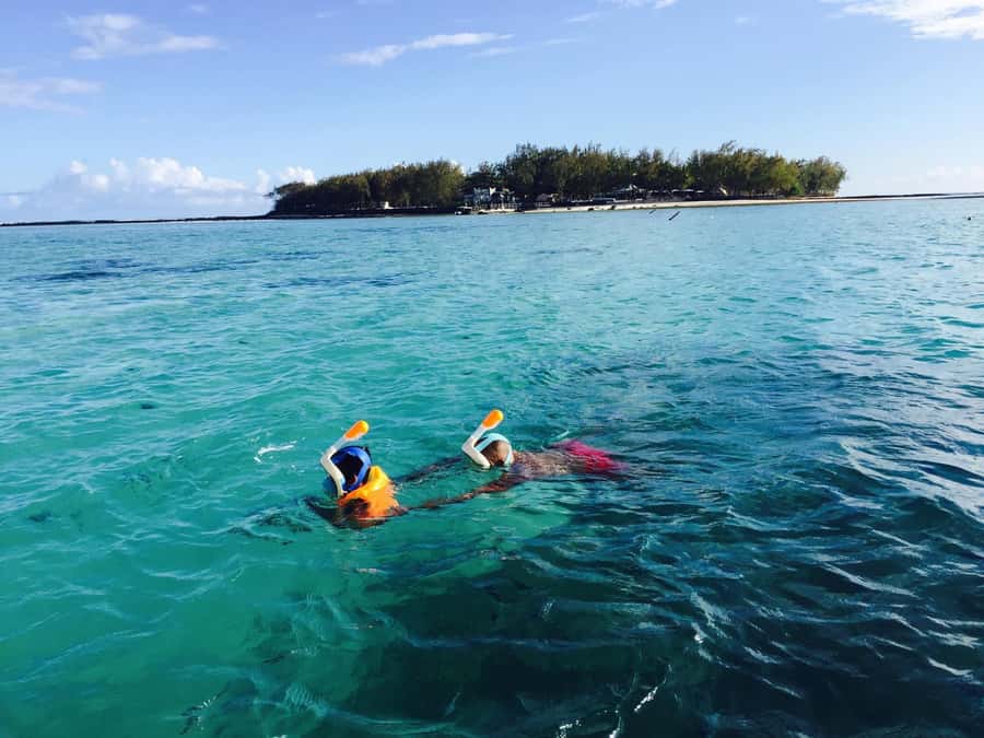 South Of Mauritius Quadbike and Snorkeling Blue Bay - Royal Palm Forest and the southern beaches