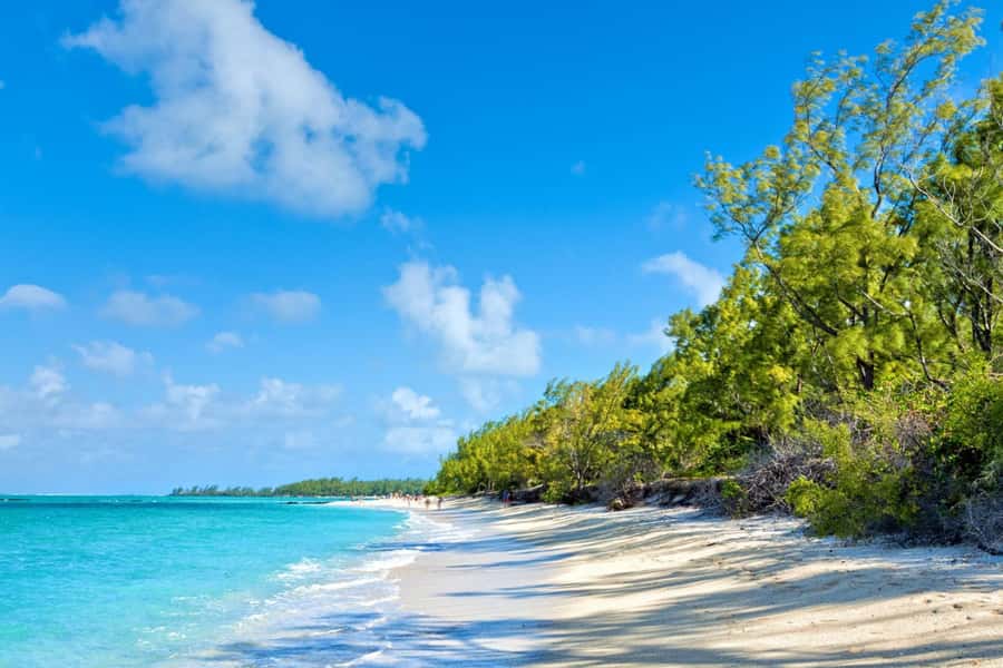 Speed boat to Ile aux Cerfs: Full day incl Lunch & Transfer - How the $90 Price Holds Up