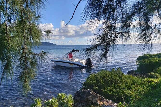 Speed Boat Tour île aux Cerfs and Others Gems of The South - Who will enjoy this speedboat day