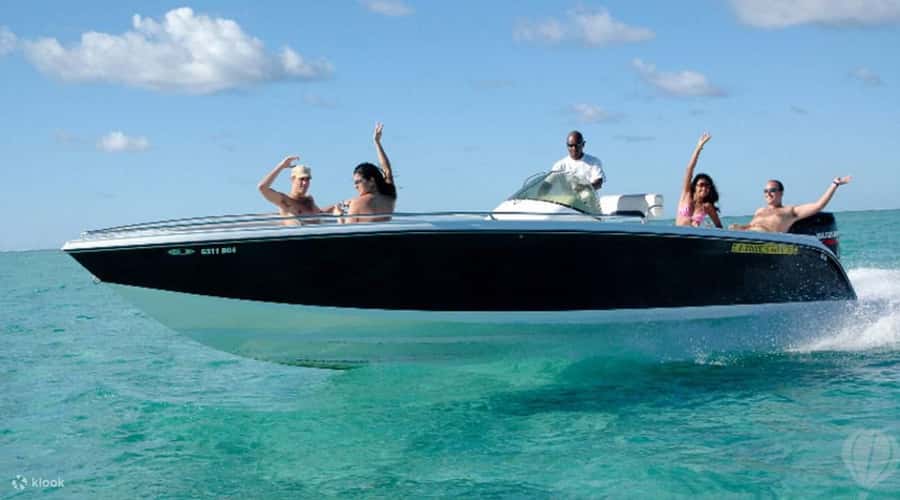Speedboat to Ile aux Benitier: Dolphin Encounter & Lunch - Key points to know before booking