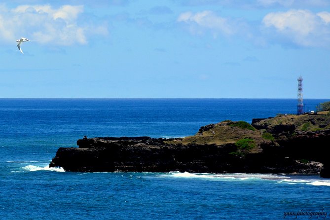 Sweet Scenic 30KM - Rochester Falls and the waterfall swim