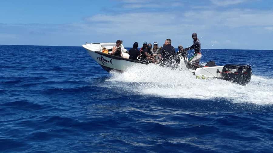 Tamarin Bay: Beginners Scuba Diving Experience - What happens at the diving center