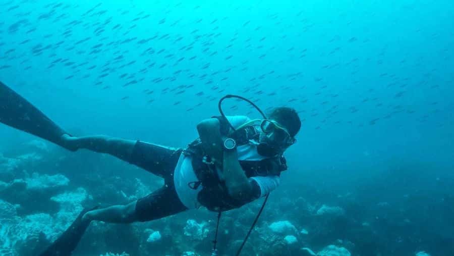 Tamarin Bay: Beginners Scuba Diving Experience - A short boat ride to Tamarin’s sea sites