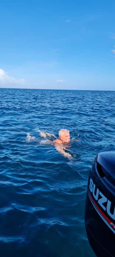 Tamarin: Dolphin Snorkel, CrystalRock, ile o Benitiers Lunch - Should you book the dolphin, Crystal Rock, and BBQ tour?